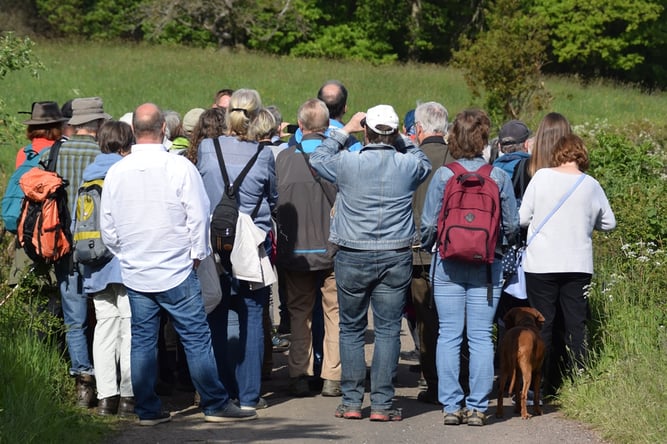 Von der Flora angefangen über geologische Besonderheiten und ornithologischen Beobachtungen, war diese Exkursion ein Erlebnis für alle Teilnehmer. Foto: Marion Zöller