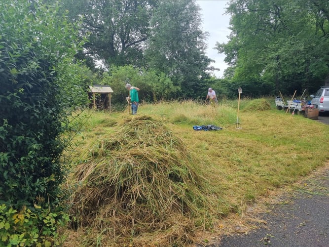 Mähen der Wiese mit der Handsense