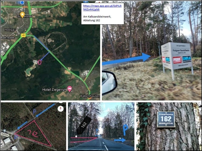 Foto: S. Hemberger u. K. Philips