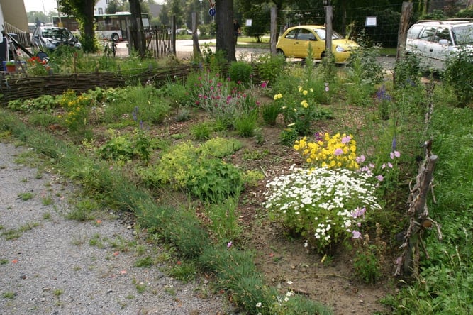 Staudenbeet mit gemischter Bepflanzung