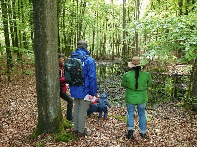 Foto: (K. Geilen) Geführte Moorwanderung in Kooperation mit dem NABU Haltern und den Naturparkführern Hohe Mark
