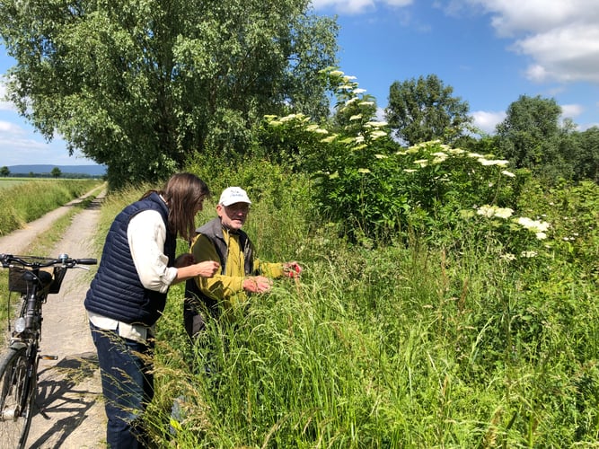 Eine Frau und ein Mann stehen am Wegesrand in hohem Gras