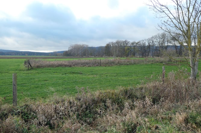 Wiese am Alten Gehlenbach