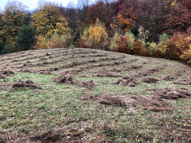 Hügel mit trockenen Grashaufen