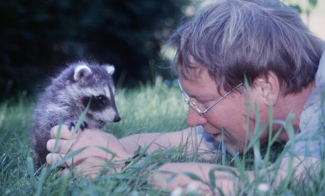(C) R. Jähne: Aber niedlich sind sie schon, oder?