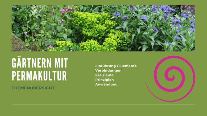 Beim Klick auf das Bild öffnet sich der Vortrag. 