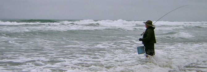 Fly fishing San Diego wading for surf perch