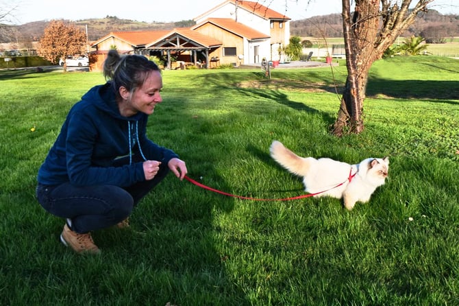 Cat sitter, chenil pour chat dans les Hautes-Pyrénées à Lescurry