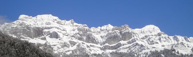 Stüssi Holzbau AG, Linthal