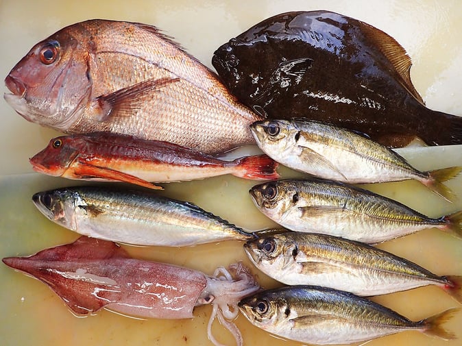 高級寿司　仕込