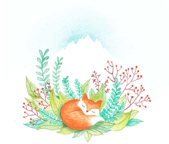 illustration crayons de couleurs faire-part renard nature