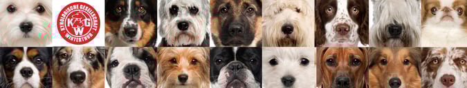 Link nach Winterthur