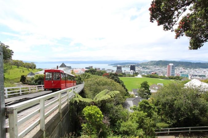 Die 5 Top Tipps für Neuseelands Nordinsel. TOP 5: Wellington