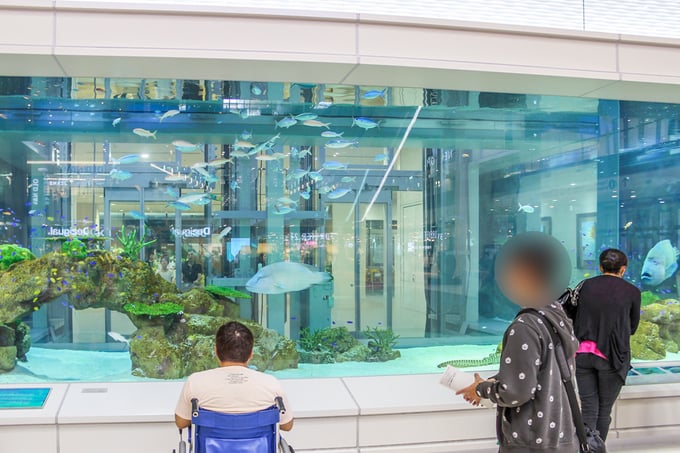 イオンライカム沖縄内の巨大な水槽の画像