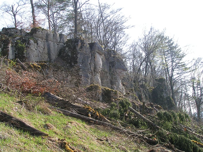 Freistellungsfläche am Limes. Foto: Dieter David