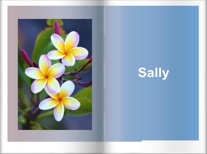Boek - Sally