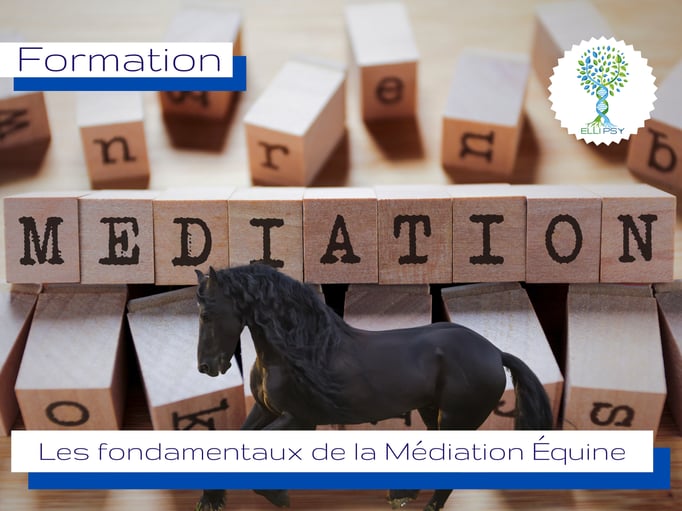 ellipsy-formation-fondamentaux-médiation-équine