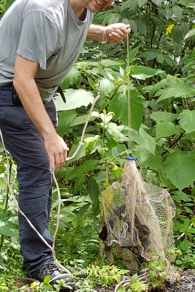 Netz anschauen und über die 3 Fische beim ersten Versuch freuen
