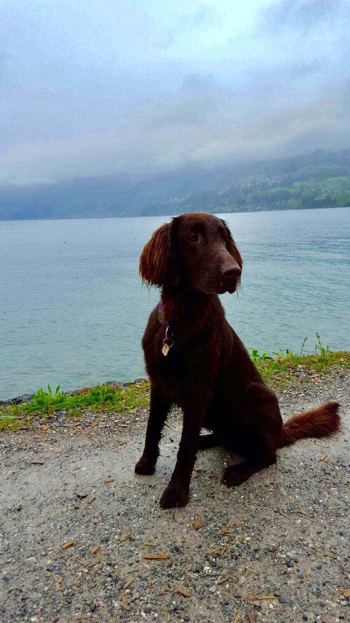 Sanibelbreeze Ember Flame *Era*