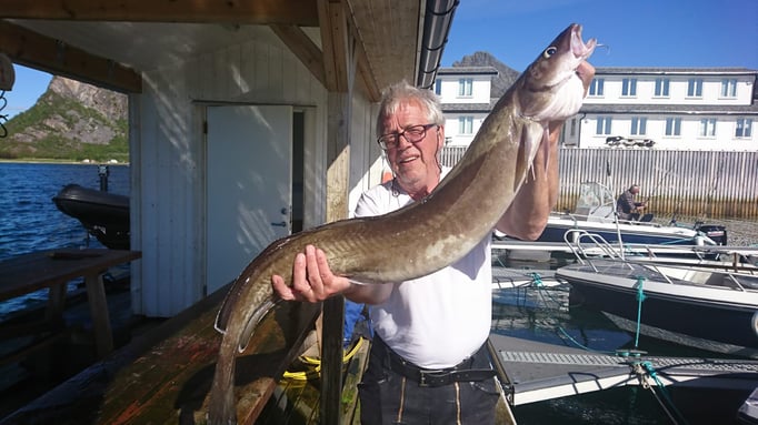 Ein schöner Leng beim Meeresangeln