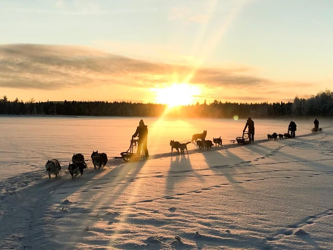 Dezember & Huskytouren im Sonnenuntergang