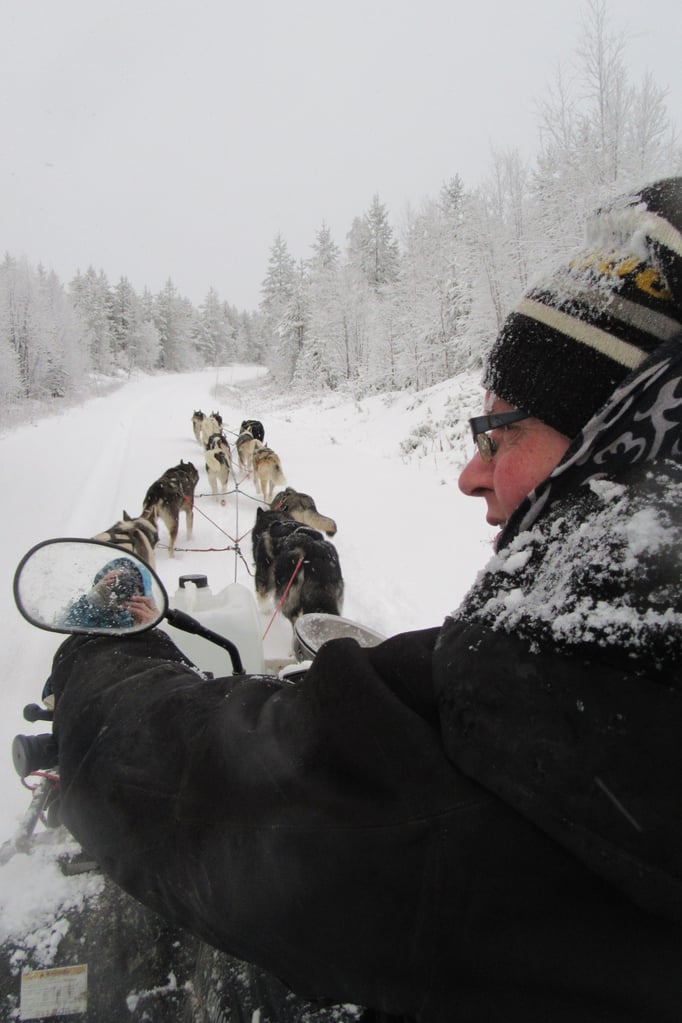 Schnee, Winter, Kälte =Lappland