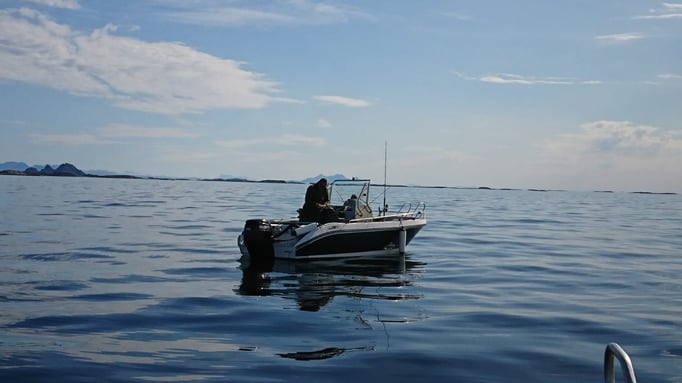 Norwegen zwischen dem Leinesfjord und den Lofoten