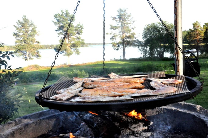frischer Fisch vom Grill in Lappland