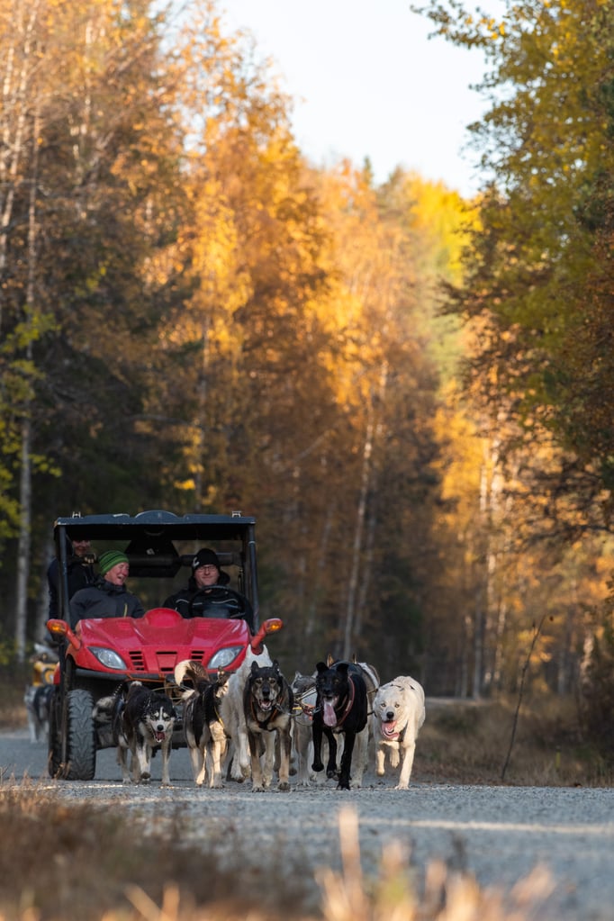 Mit den Quads durch Lapplands Weiten
