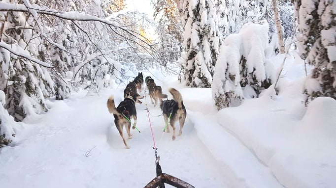 Winter Märchenwelt Lappland
