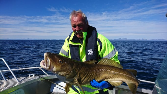 Norwegen hat tolle Dorsche zu bieten