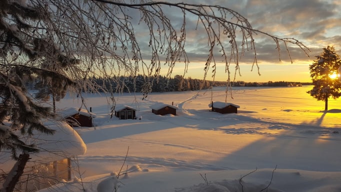 Unsere Blockhütten auf der Huskyfarm
