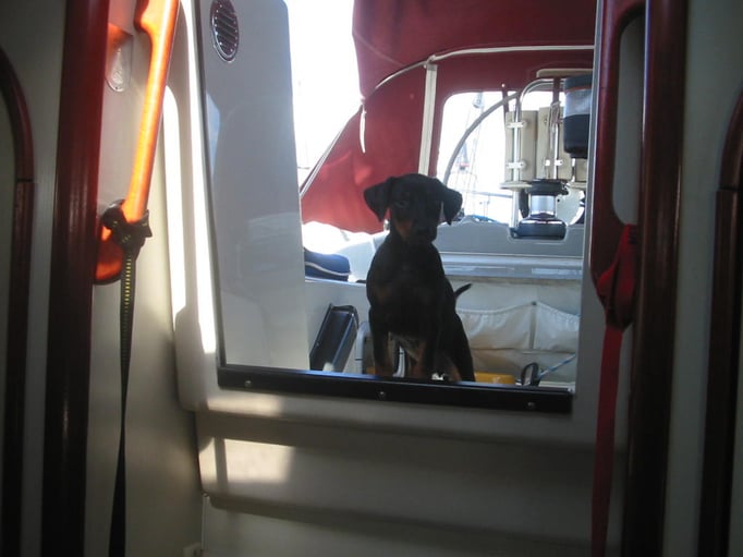 Oona-Devi erster Bordtag 