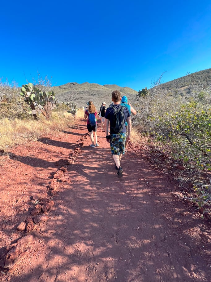 Hikers walking down a red path