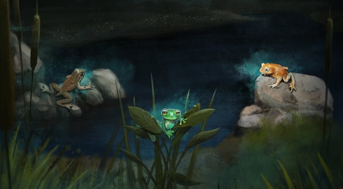 Illustration used in interactive web documentary / Frogs & Friends e.V. / Art Direction by Miiqo Studios UG  / Produced by Filmtank GmbH