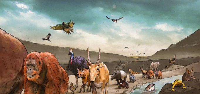Illustration for webseite of Citizen Conservation / www.citizen-conservation.org