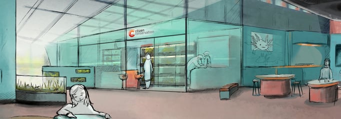 Concept art for Frogs & Friends e.V. 