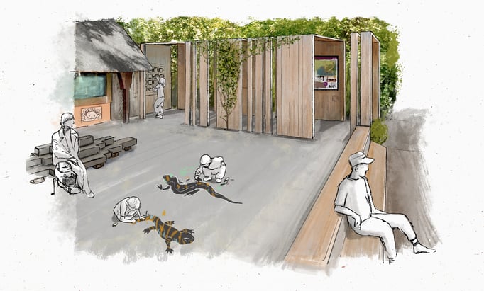 Concept art for Frogs & Friends e.V. 