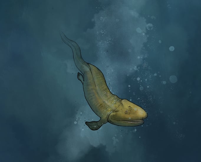 Illustration used in interactive web documentary / Frogs & Friends e.V. / Art Direction by Miiqo Studios UG  / Produced by Filmtank GmbH