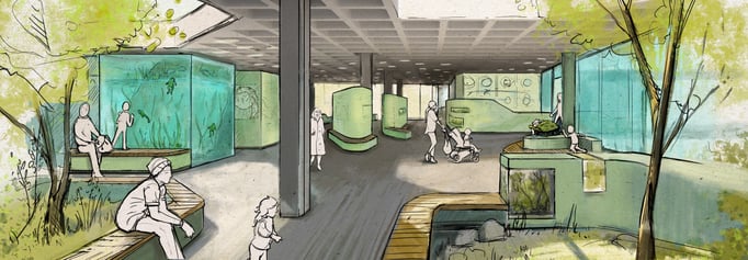 Concept art for Frogs & Friends e.V. 