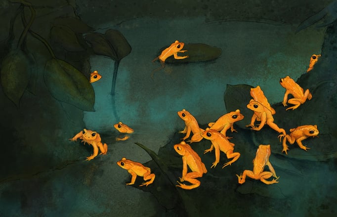 Illustration used in interactive web documentary / Frogs & Friends e.V. / Art Direction by Miiqo Studios UG  / Produced by Filmtank GmbH