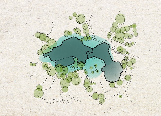 Concept art for Frogs & Friends e.V. 