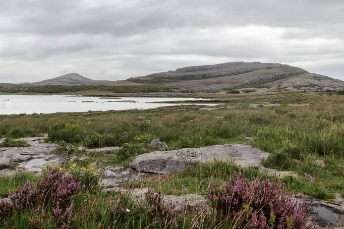 Burren Nationalpark