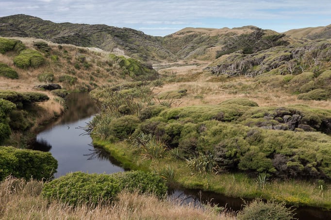 Wharariki Beach