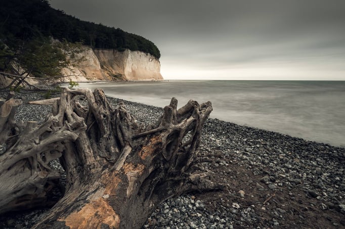 An der Steilküste bei Sassnitz