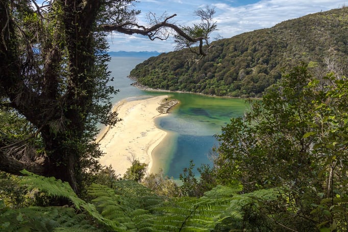 Abel Tasman