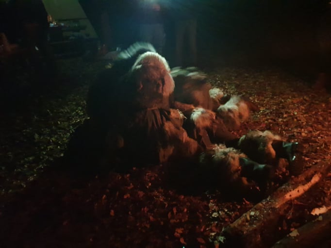 diese Konfettis werden deine Mutter noch Wochen zu Hause beschäftigen. Wir entschuldigen uns.