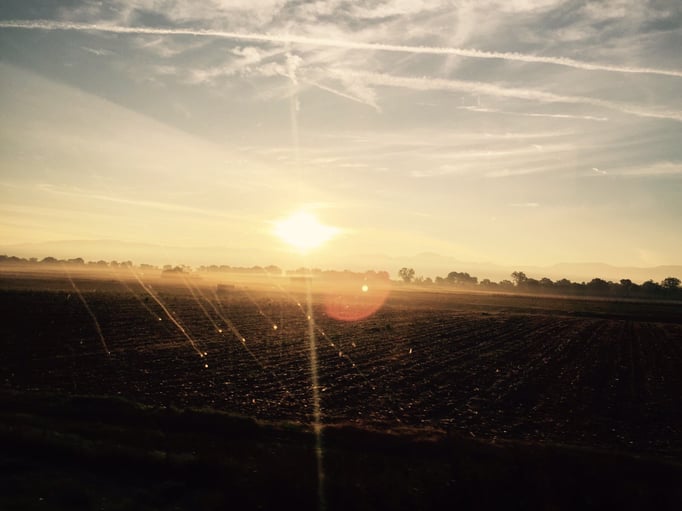 ... die Gnomen reiten in den Sonnenaufgang in das rust-ikale Abenteuer ...