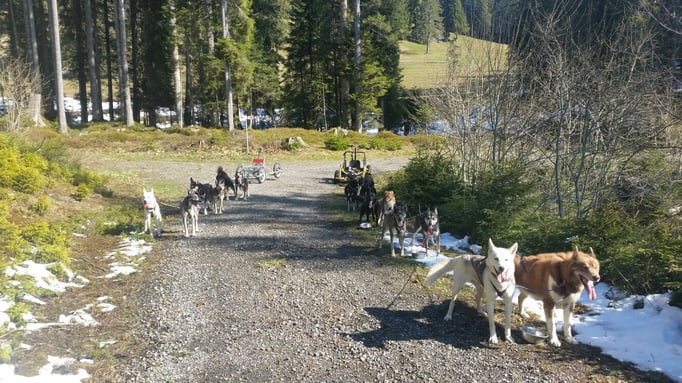 Training bei toller Morgenstimmung