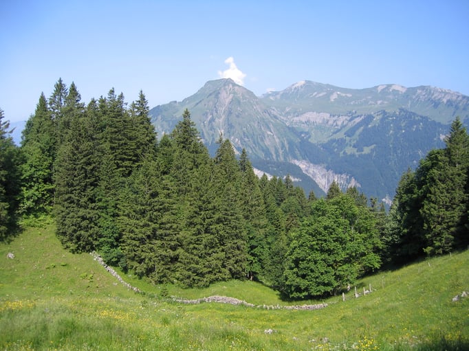 Blick ins Obwaldnerland.  Bild: C. Schatzmann